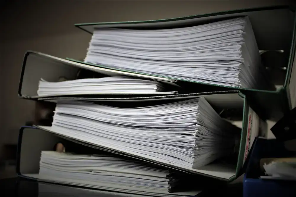 Bookkeeper discussing organized records with a client